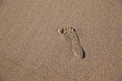 《英雄联盟》新英雄Zeri泄露 来自祖安的少女射手